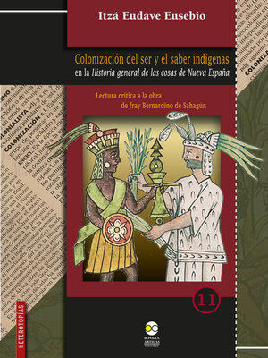 cover image of Colonización del ser y el saber indígenas en la Historia general de las cosas de Nueva España